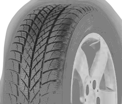 Gislaved Euro Frost 5