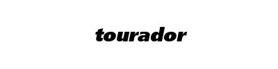 Tourador Wonder TH1