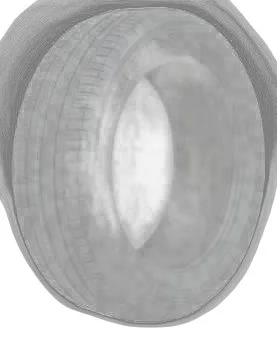 Toyo Proxes Sport Suv 